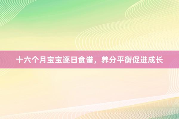 十六个月宝宝逐日食谱，养分平衡促进成长