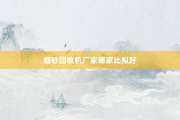 细砂回收机厂家哪家比拟好