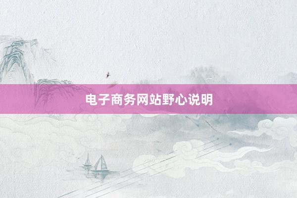 电子商务网站野心说明