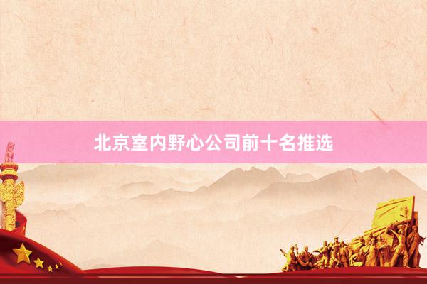 北京室内野心公司前十名推选